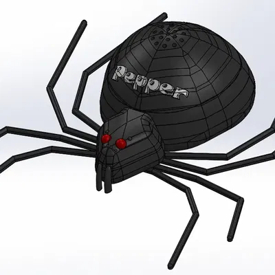 Salty Spooky and Pepper Spider