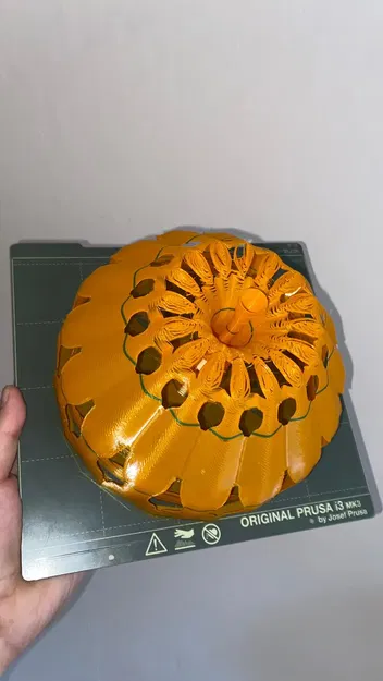 Tô Bí Ngô (Pumpkin Bowl) - Image 10