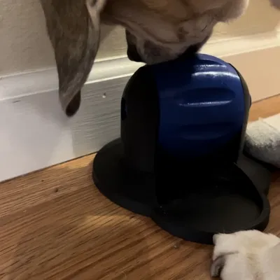 Chén Đồ Ăn Vặt Cho Chó Tự Vận Động
