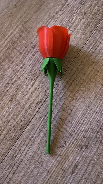 Hoa hồng có cuống dài - Image 1