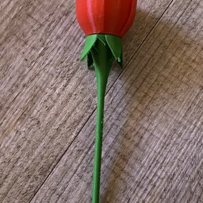 Hoa hồng có cuống dài