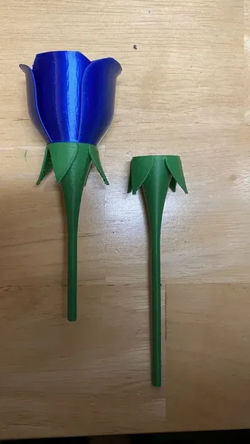 Hoa hồng có cuống dài - Image 2