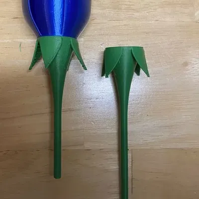 Hoa hồng có cuống dài