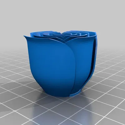 Hoa hồng có cuống dài