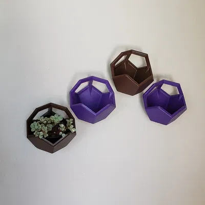 Chậu Treo Tường Hình Ngũ Giác