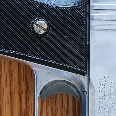 Báng súng Raven 25 auto