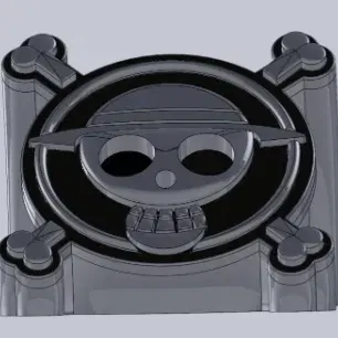 One Piece Logo Display