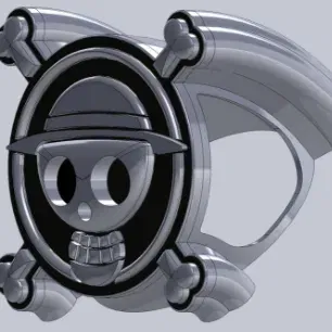 One Piece Logo Display