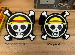 One Piece Logo Display - Image 10