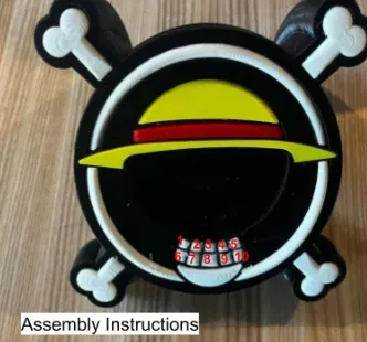 One Piece Logo Display - Image 12