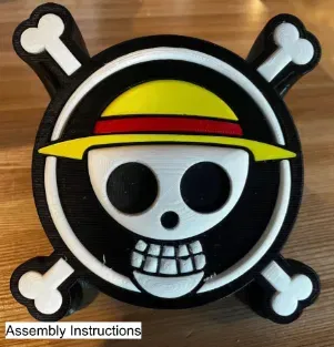 One Piece Logo Display - Image 14