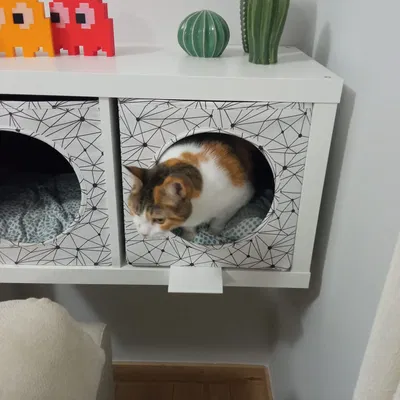 Platform for Ikea kallax lurvig for cats