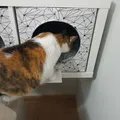 Platform for Ikea kallax lurvig for cats - Thumbnail 3