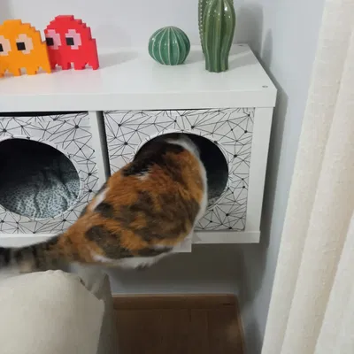 Platform for Ikea kallax lurvig for cats