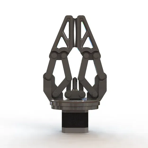 Kẹp Động Cơ Servo Robot - Image 5