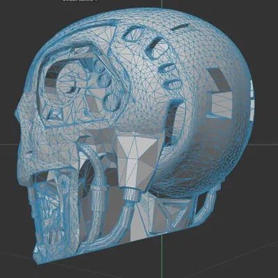 Mô hình T800 Lucky13 Chỉnh sửa