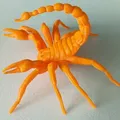 Scorpion - Thumbnail 1