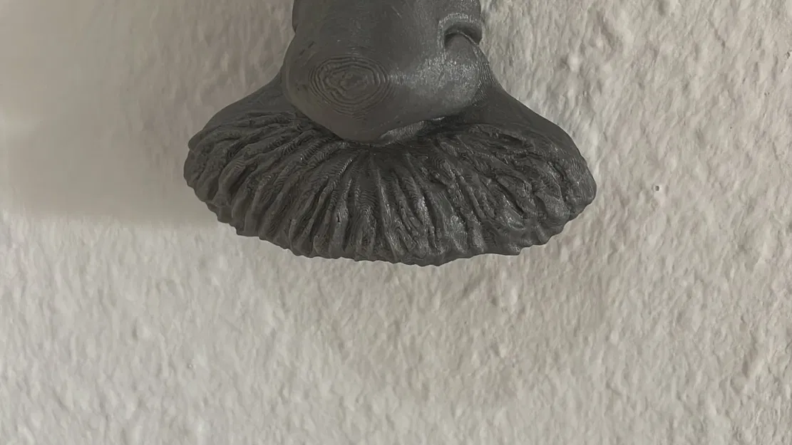 Kệ Kính Mắt Einstein - Giá Đỡ Kính - Image 2