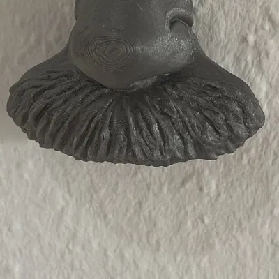 Kệ Kính Mắt Einstein - Giá Đỡ Kính