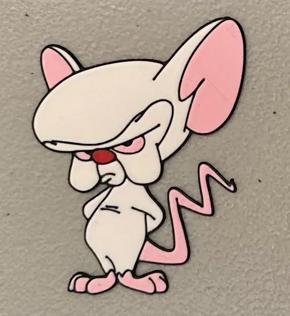 Nam Châm Hình Não Bộ In Đa Sắc Màu - Image 1