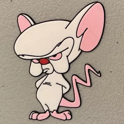 Nam Châm Hình Não Bộ In Đa Sắc Màu