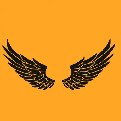 WINGS 2D - Cánh Đẹp Cho Mô Hình 3D