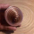 Mô hình Đồ chơi Tắc kè Hoa Zen - Thumbnail 4