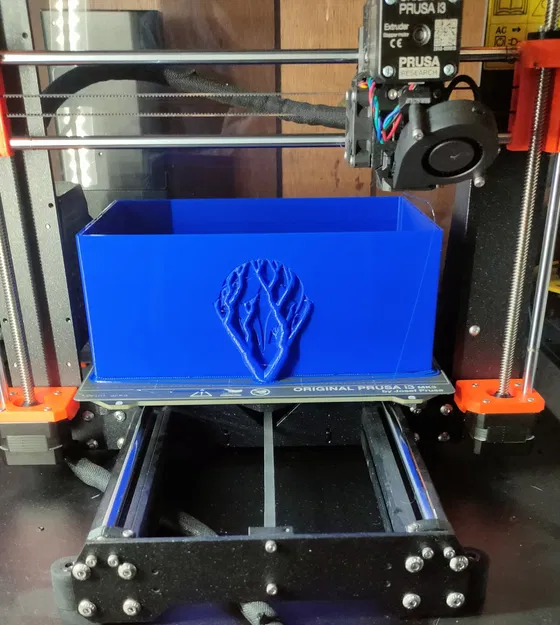 Hộp Lorcana - Image 3