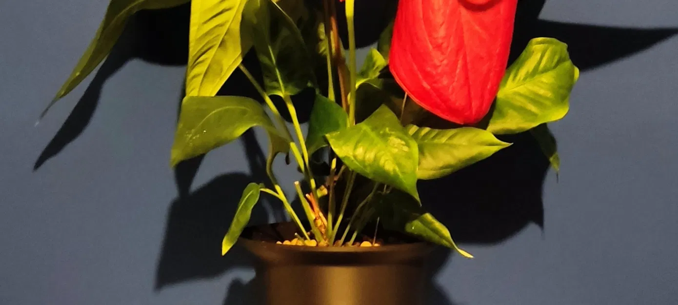 Chậu Hoa Xinh Mod - Image 1