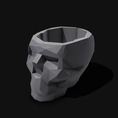 Chậu Trồng Cây Hình Đầu Lâu Phong Cách Low Poly