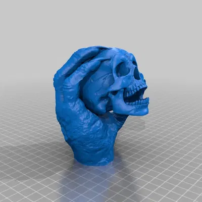 Mô hình Đầu Lâu Trong Tay