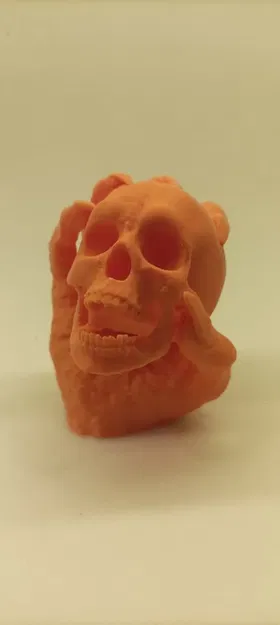 Mô hình Đầu Lâu Trong Tay - Image 2