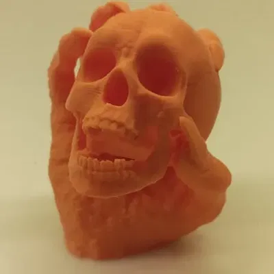 Mô hình Đầu Lâu Trong Tay