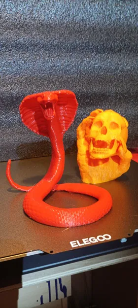 Con Rắn Cho Mẫu Đầu Lâu Trong Tay - Image 1