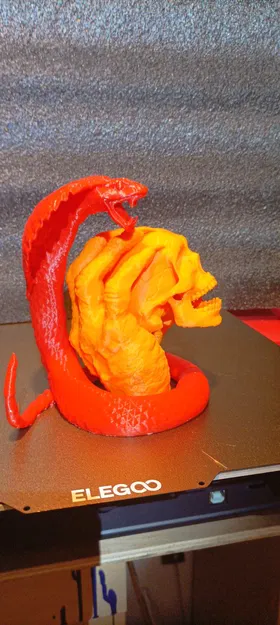 Con Rắn Cho Mẫu Đầu Lâu Trong Tay - Image 2