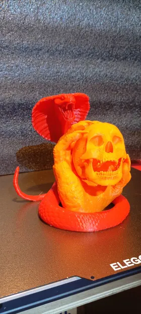 Con Rắn Cho Mẫu Đầu Lâu Trong Tay - Image 3