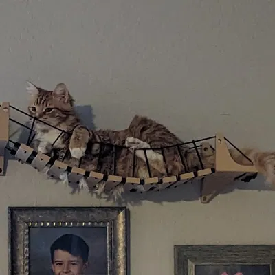 Cầu và bậc thang treo tường cho mèo