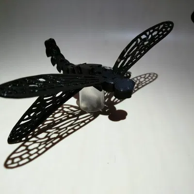 Chuồn Chuồn Uốn Dẻo (Floppy Dragonfly)