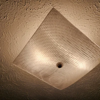 Ceiling Light Cover Replacement
