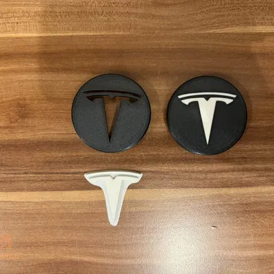 Nắp Chụp Mâm Xe Có Logo Tesla Cho Mâm MSW