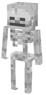 Mô hình bộ xương Minecraft - Image 1