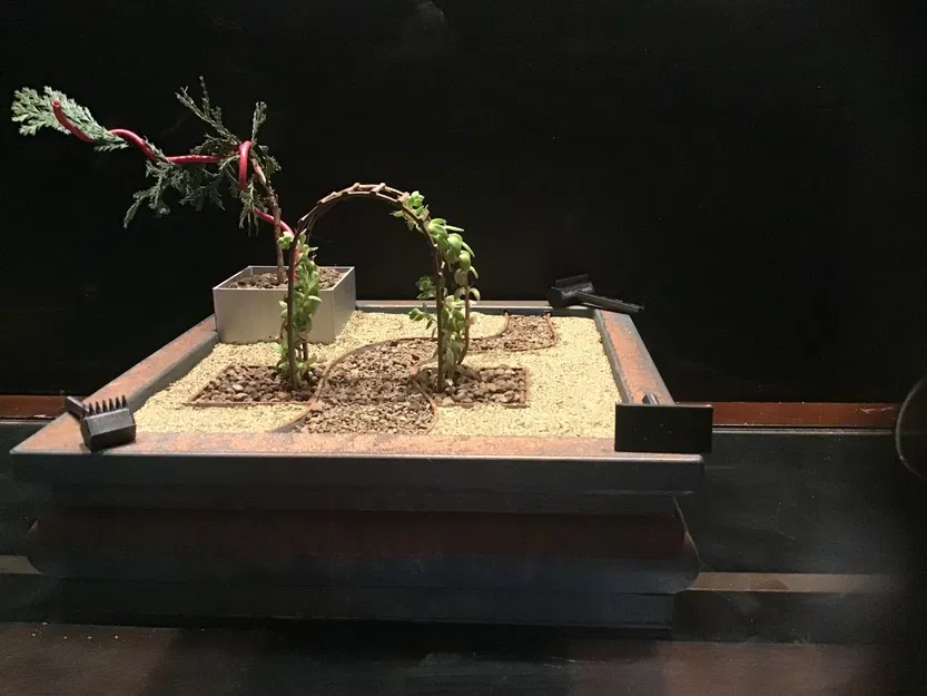 Vườn Thiền Lớn Với Cây Bonsai, Chậu Cây Nhỏ, Khay Nhỏ Giọt và Vòm - Image 1