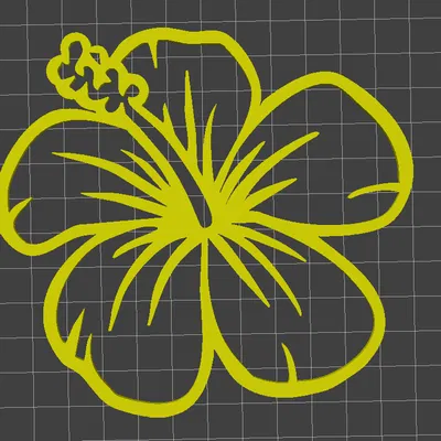 Nét vẽ hoa dâm bụt