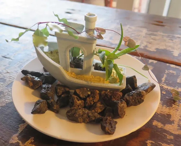 Zenchy: Chậu Cây Benchy Vườn Thiền - Image 1