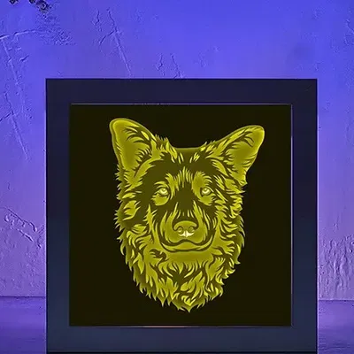 Hộp Đèn Đầu Chó Cừu Nhìn Thẳng