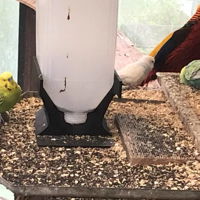 Chỗ Đựng Thức Ăn Cho Chim Từ Bình 5 Lít