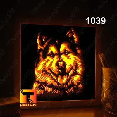 Alaska Dog Head Looking Straight (Lovely Dog) light box