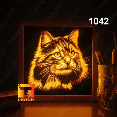 Hộp đèn hình đầu mèo nhìn thẳng