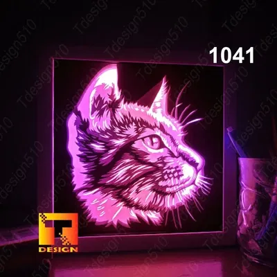 Hộp Đèn Đầu Mèo Nhìn Nghiêng