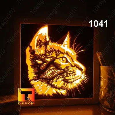 Hộp Đèn Đầu Mèo Nhìn Nghiêng